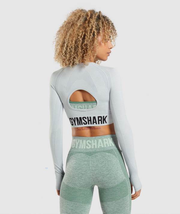 Damske Crop Top Gymshark Flex Sports Long Sleeve Svetlo Siva | TE8102935